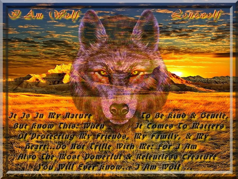 I Am Wolf, scenic, defender, companion, devotion, loyal, plains, sunset, mate, mountain, devoted, loyalty, werewolf, sunrise, pack, protector, honor, vista, prairie, wolf, HD wallpaper