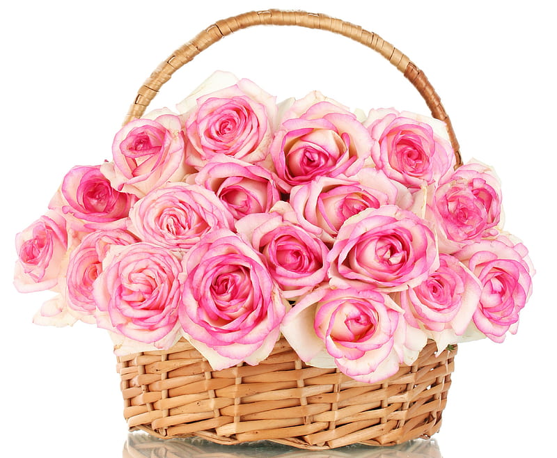 Pink Roses, with love, lovely, rose, bonito, roses, basket, pink petals ...