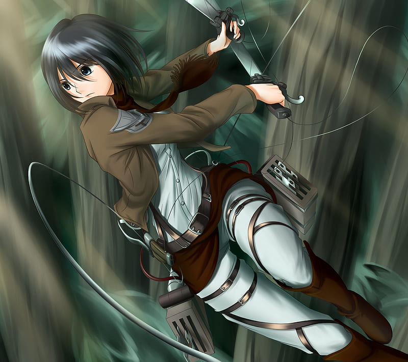 Ackerman Mikasa, anime, attack on titan, shingeki no kyojin, HD wallpaper