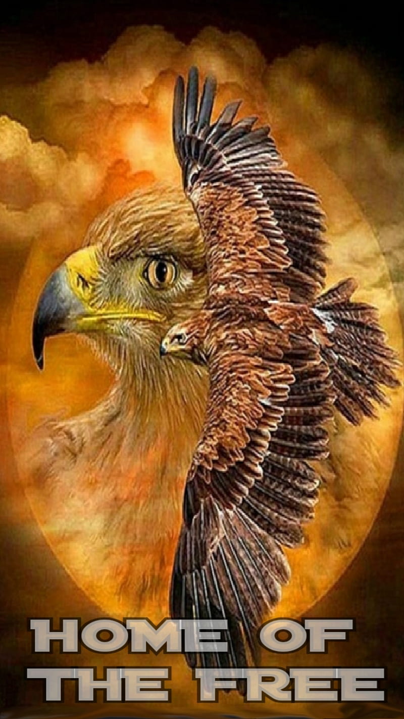 Home, bravery, country, eagle, dom, loyalty, patriot, usa, HD phone wallpaper