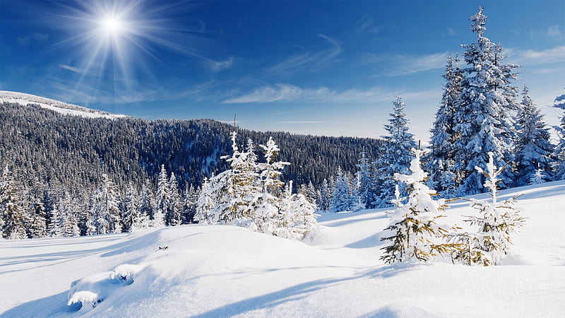 Bright Winter Morning, snow, mountains, sunlight, morning, forests, trees, winter, HD wallpaper