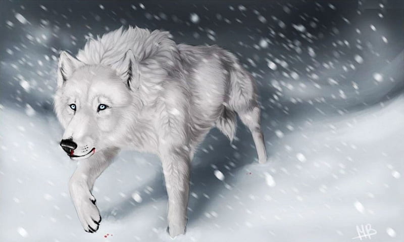 Winter Wolf, predator, arctic, snow, artwork, HD wallpaper | Peakpx