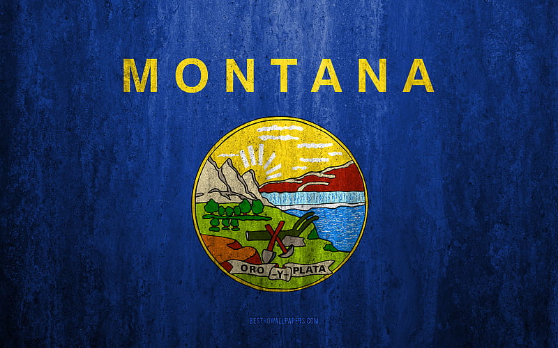 Flag of Montana stone background, American state, grunge flag, Montana flag, USA, grunge art, Montana, flags of US states, HD wallpaper