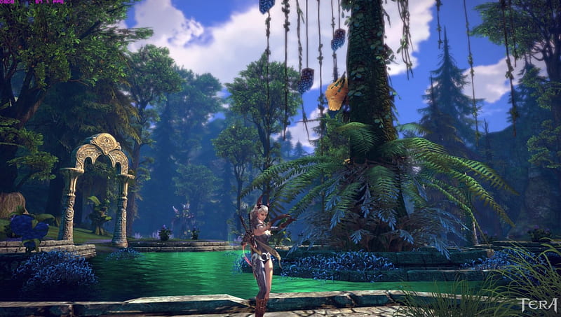 Tera, forest, fantastic, game, woman, realm, fantasy, warrior, girl ...