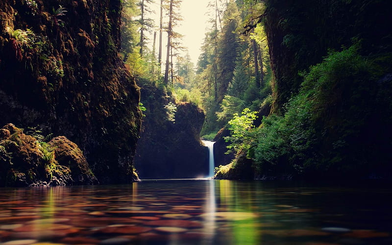 forest cascade-Summer scenery, HD wallpaper
