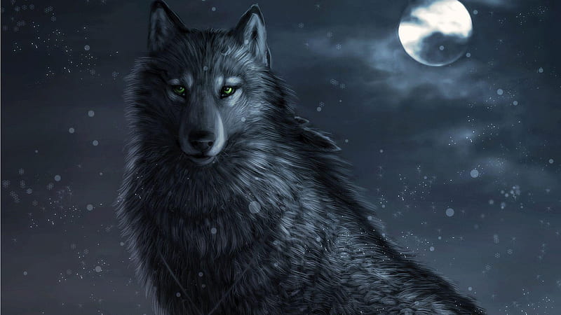 Black Wolf Moon, wild, dark, full moon, wolf, wolves, loup, HD wallpaper
