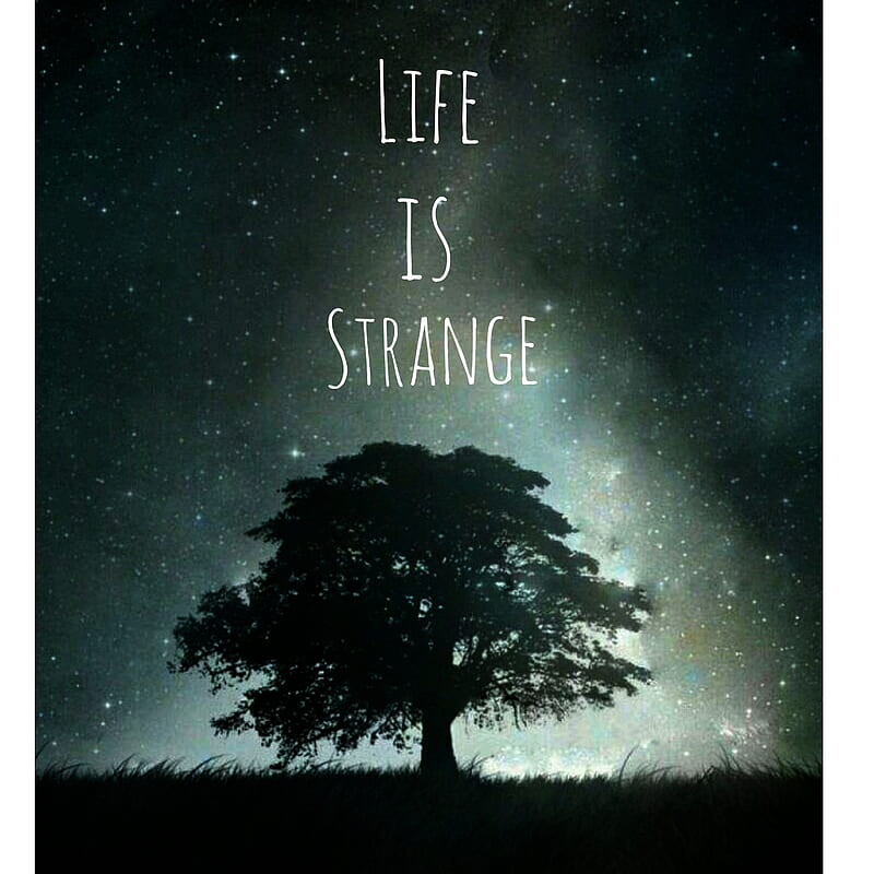 Life is strange , calm, lock, screen, HD phone wallpaper