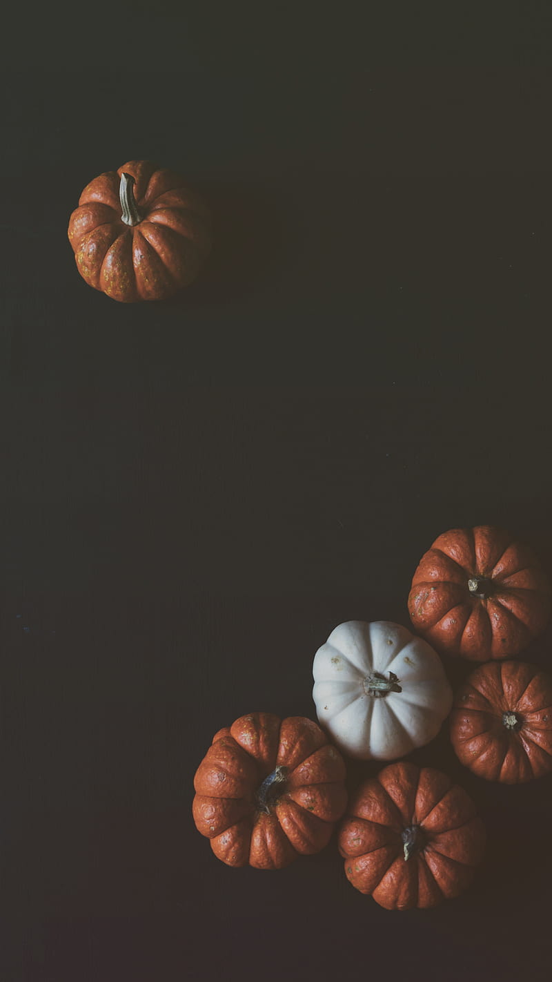 Artsy Pumpkins, pumpkin, fall, gourds, halloween, autumn, pumps18, HD phone wallpaper