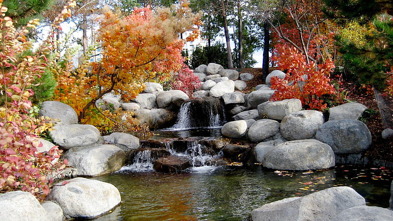 Waterfall Between White Rock Stones Surrounded By Colorful Leaves Plants And Trees Nature, HD wallpaper