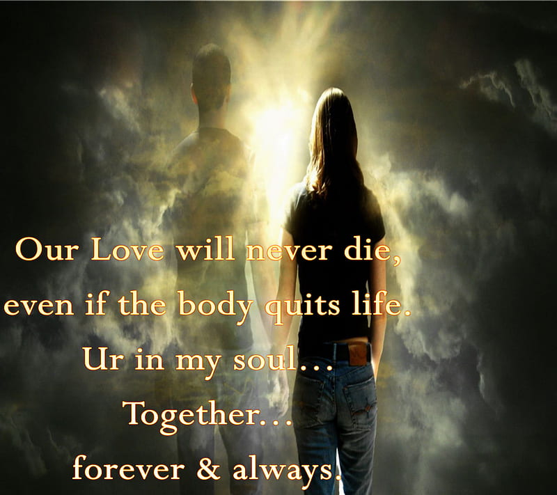 Love Never Dies, couple, feelings, siempre, life, lovers, quit, sayings, words, HD wallpaper