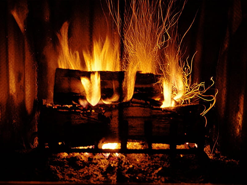 Roaring Fire . jpg, fire, burns, flames, warmth, hot, HD wallpaper