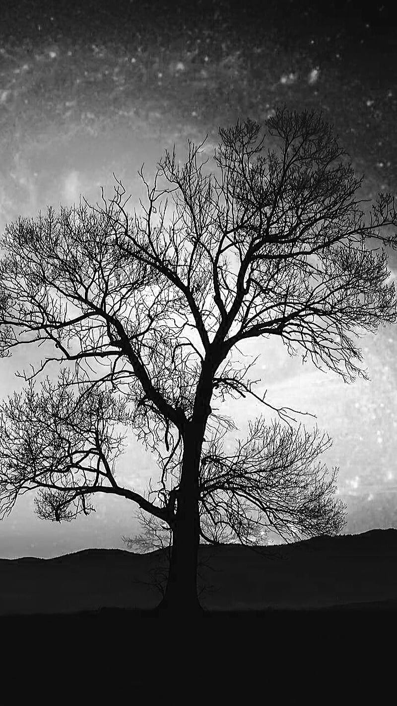 Black tree, black and white, gothic, nature, HD phone wallpaper