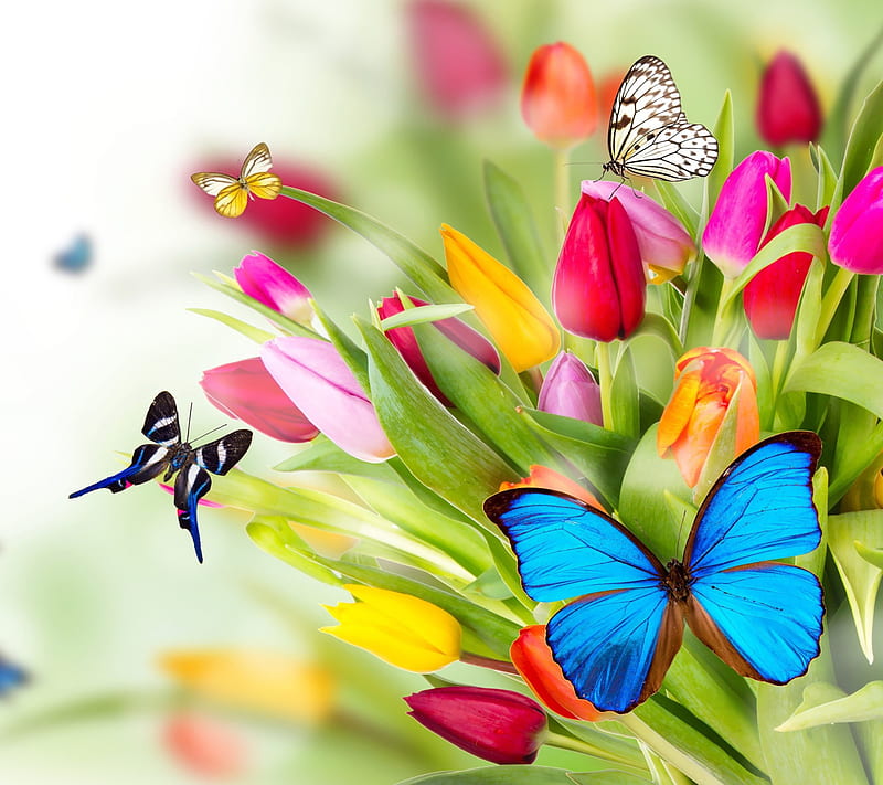 Butterflies-Tulips, abstract, butterflies, tulips, HD wallpaper | Peakpx