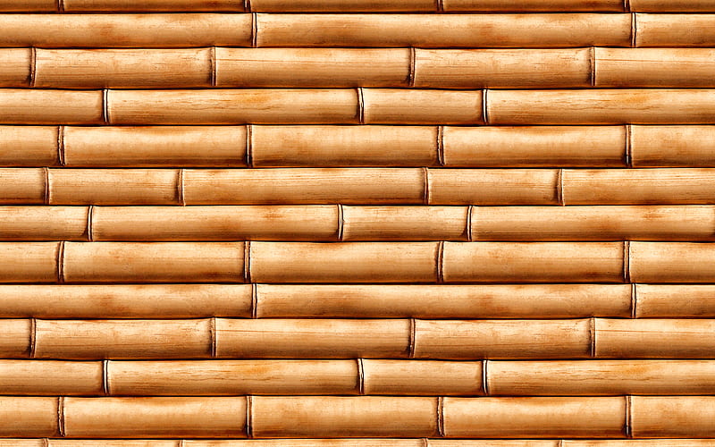 brown bamboo trunks, close-up, bambusoideae sticks, macro, bamboo textures, brown bamboo texture, bamboo canes, horizontal bamboo texture, bamboo, bamboo sticks, brown wooden background, HD wallpaper