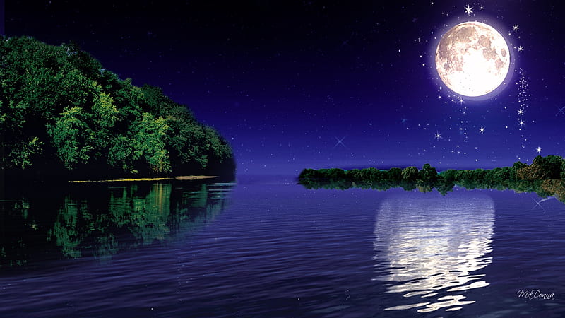 Moonlight Reflection, stars, trees, sky, lake, water, full moon, island, reflection, night, HD wallpaper