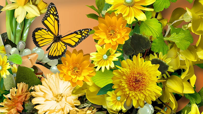 Spring Into Summer, Gerbera, golden, yellow, spring, gold, butterfly, summer, chrysanthemums, flowers, garden, HD wallpaper