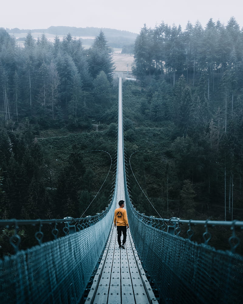 bridge, man, loneliness, cable bridge, nature, HD phone wallpaper