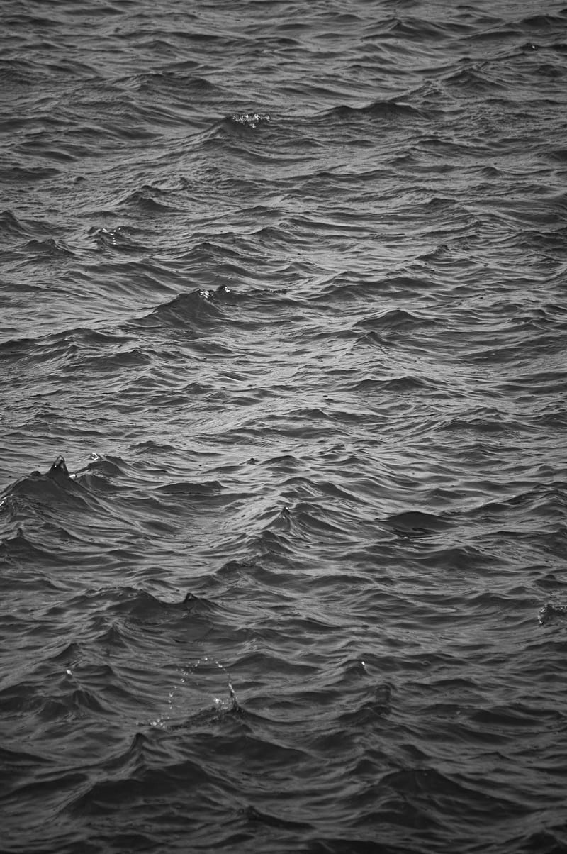 waves, ripples, bw, water, HD phone wallpaper