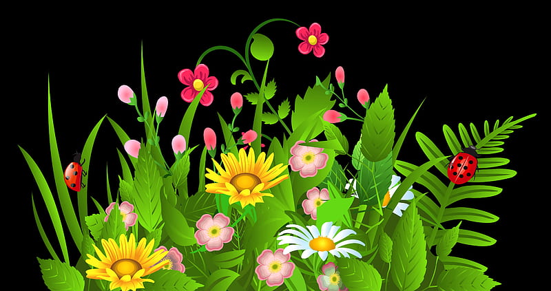 Spring Flowers, clip, lady, daisies, bug, art, vector, HD wallpaper