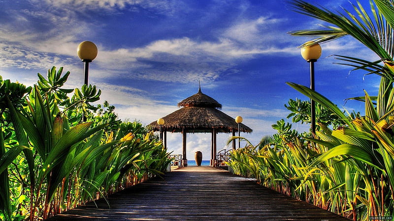 Welcome to Paradise, skies, board, beach, sand, paradise, walk, island, HD wallpaper