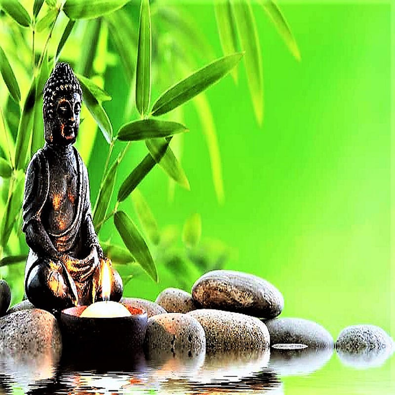 Buddhism, budda, green, light, peace, tranquil, zen, HD phone wallpaper