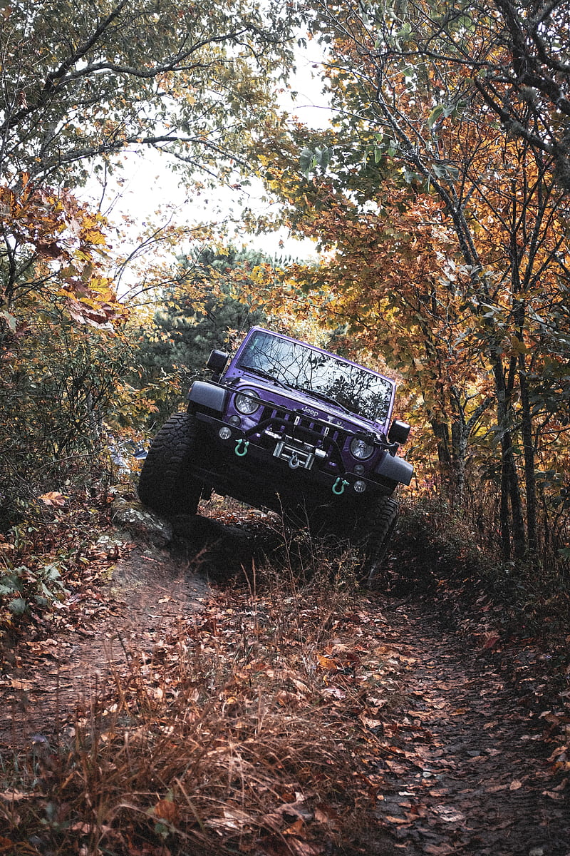 Jeep wrangler, jeep, car, suv, purple, off road, HD phone wallpaper | Peakpx