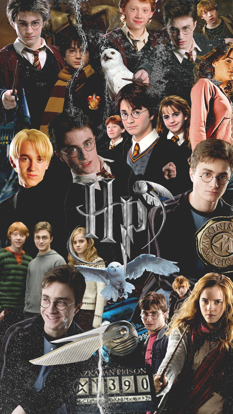 Harry Potter , character, harry potter, HD phone wallpaper