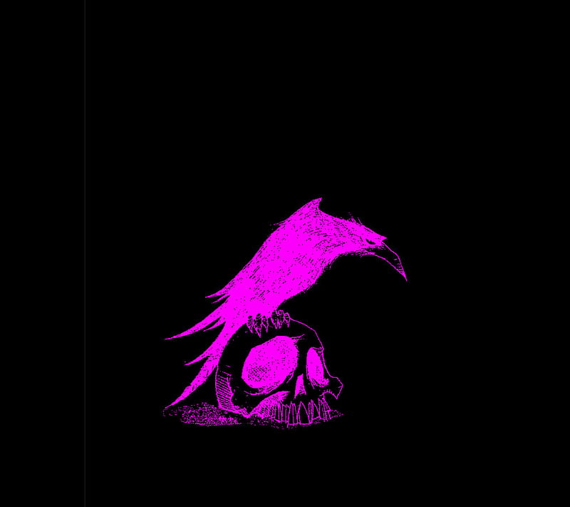 Pink Raven on Skull, crow, pink raven, HD wallpaper