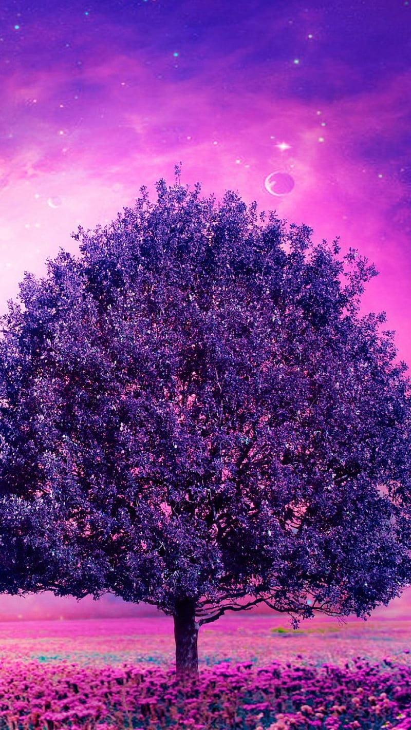 Purple Tree , nature, colorful, HD phone wallpaper