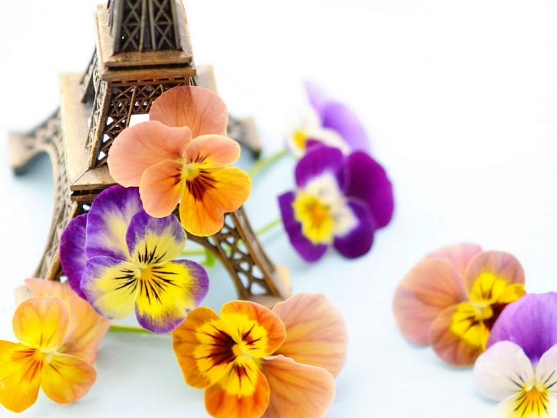 Violets, Eiffel Tower, statuette, Paris, France, flowers, violets cassette, HD wallpaper