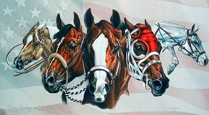 Horse Heads F1, art, race, equine, horse, artwork, animal, heads, painting, wide screen, western, esports, HD wallpaper