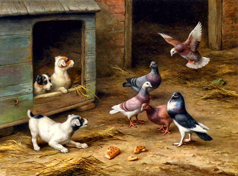 Puppies and Pigeons F, art, pigeons, bonito, pets, illustration, artwork, canine, animal, puppies, painting, wide screen, dogs, HD wallpaper