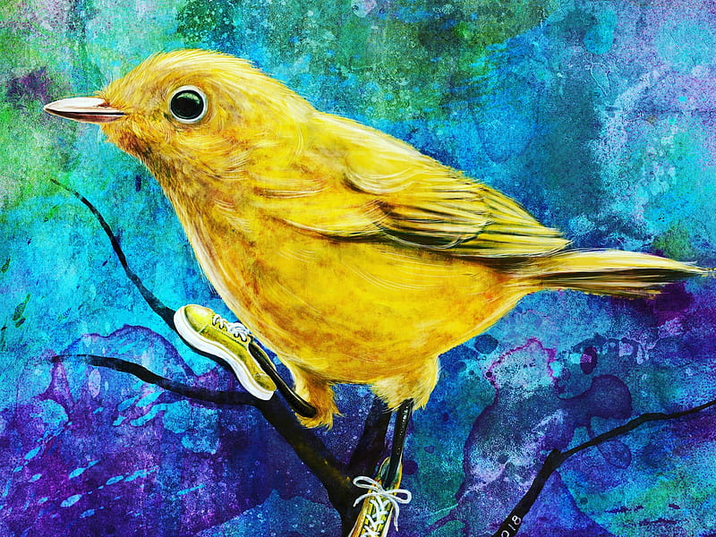 :-), fantasy, bird, yellow, pasari, shoe, canary, blue, luminos, canar, funny, HD wallpaper