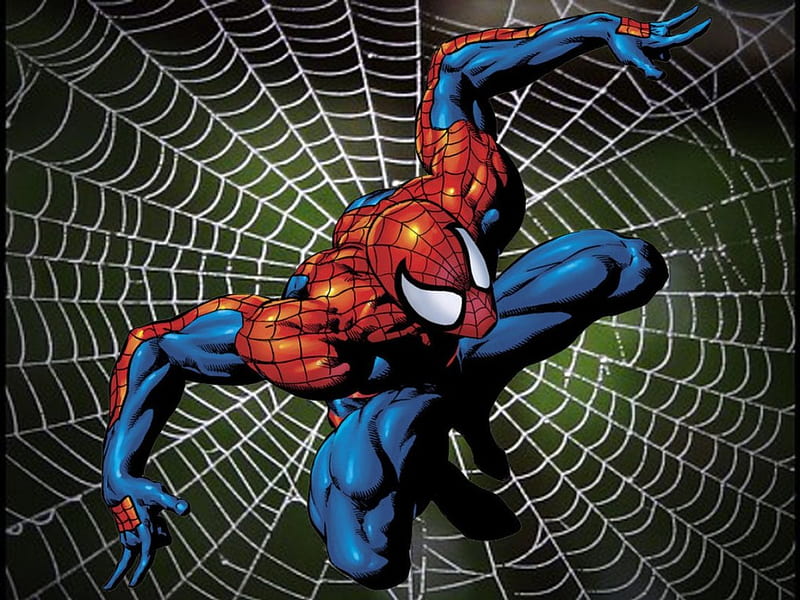 Web Of Spiderman, Comics, Superheroes, Marvel, Spiderman, HD wallpaper