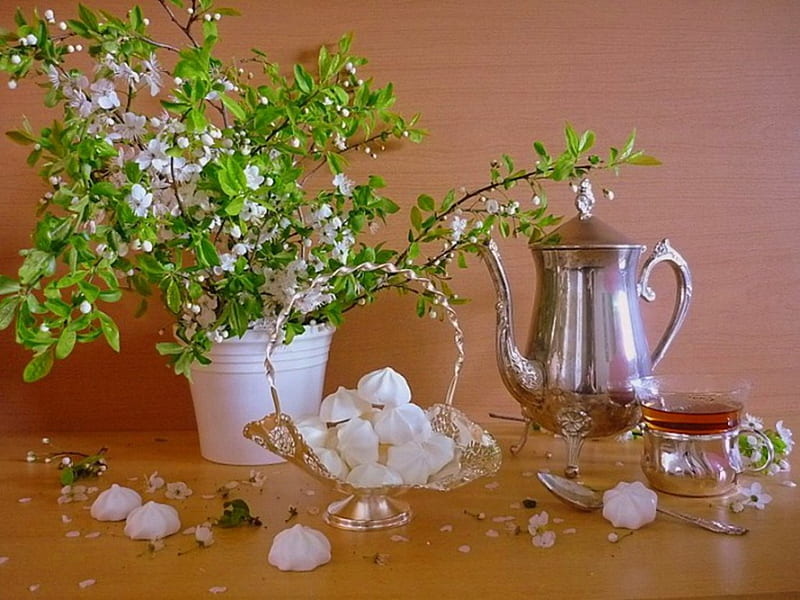 Still life, time, vase, spring, abstract, tea, freshness, green, cup, flowers, kettle, blooming, white, branches, other, HD wallpaper