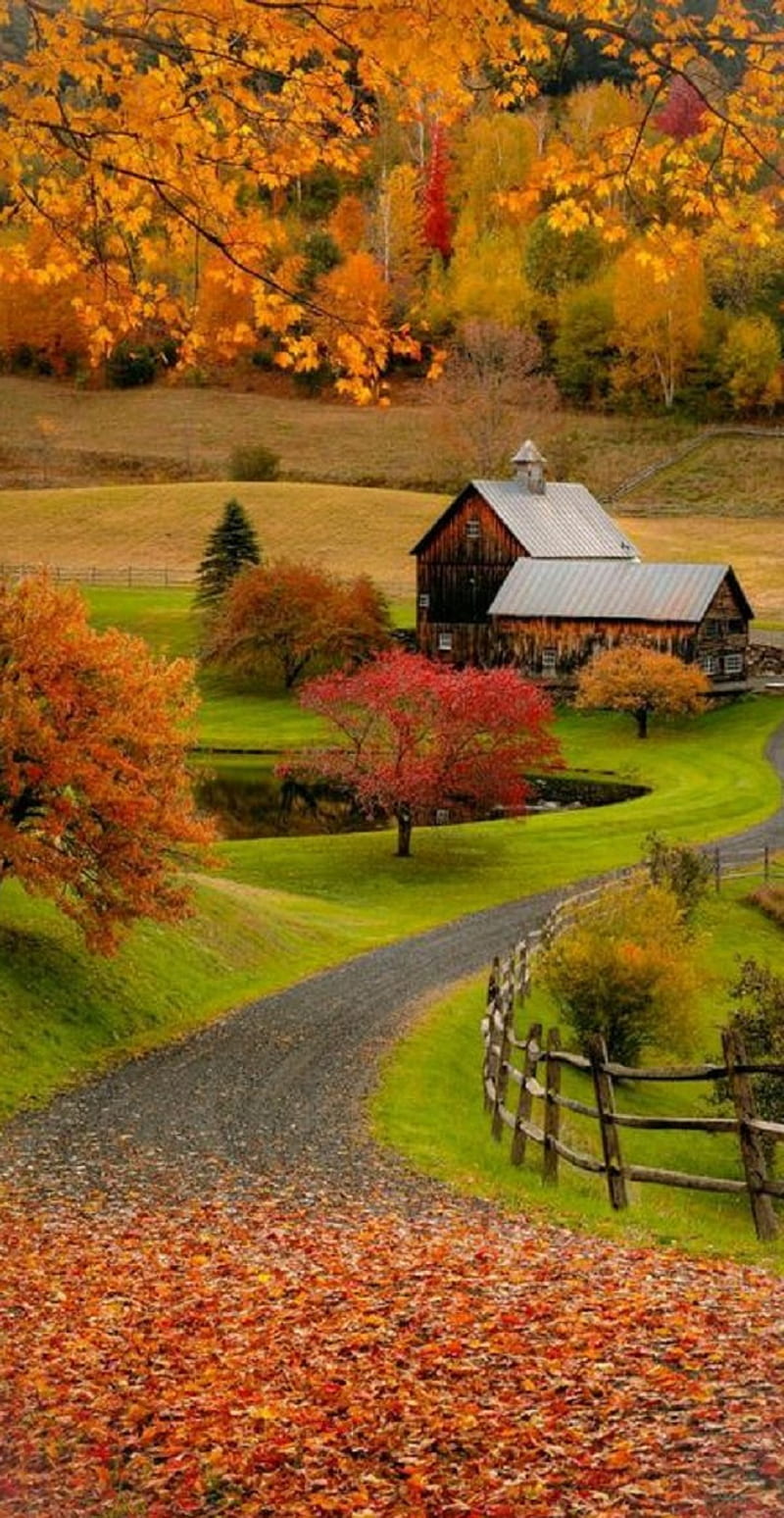 Farm, barn, country, HD phone wallpaper