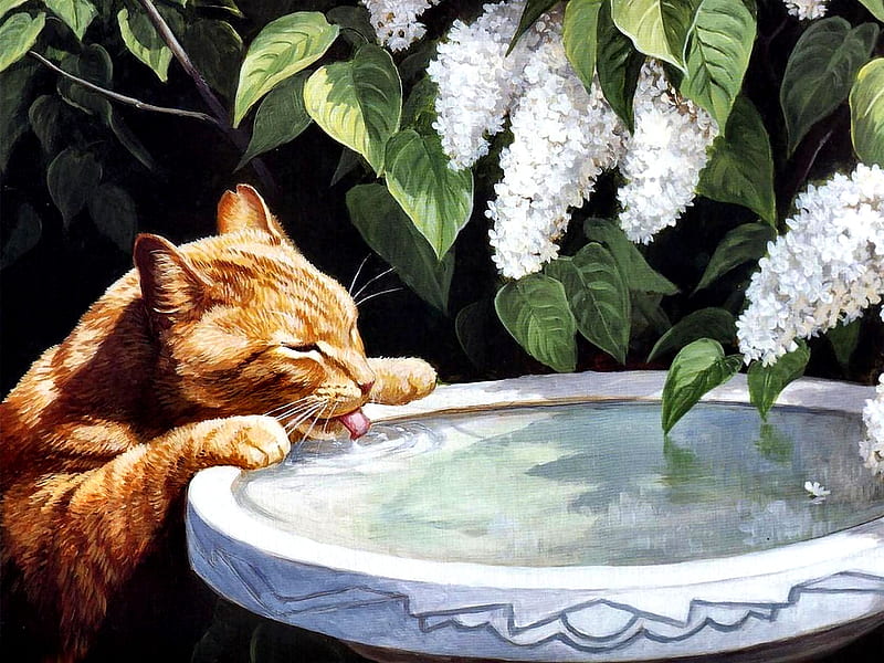 Cat and Lilacs F, art, birdbath, bonito, pets, lilacs, artwork, animal, feline, painting, wide screen, cats, HD wallpaper