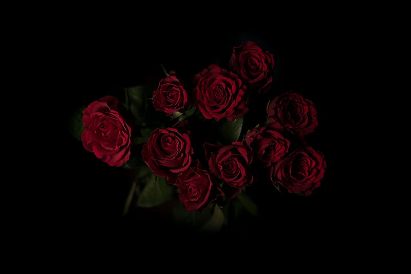 red roses flower arrangement, HD wallpaper
