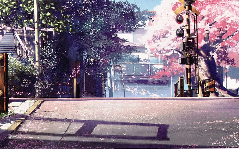 Railroad Crossing, japan streets, anime, sakura petals, sakura tree, morning, cherry blossom tree, HD wallpaper
