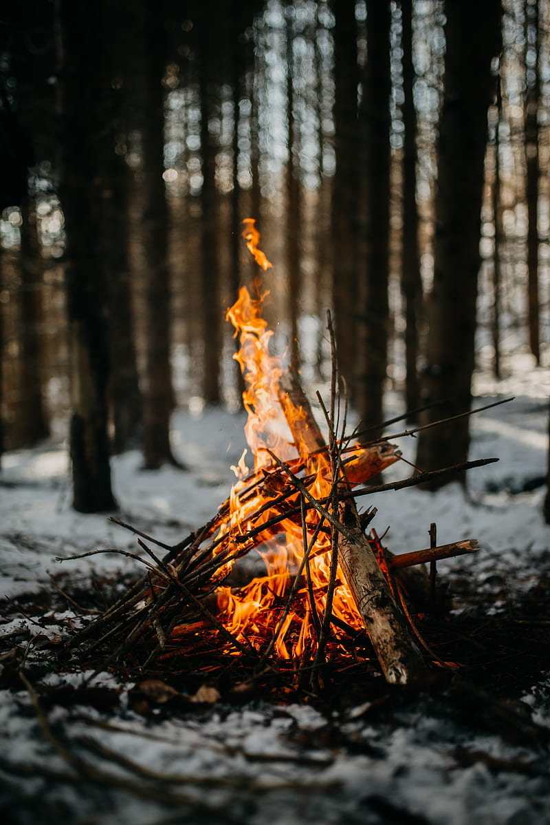bonfire, fire, flame, branches, HD phone wallpaper