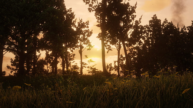 red dead redemption 2, game landscape, forest, sunset, trees, Games, HD wallpaper