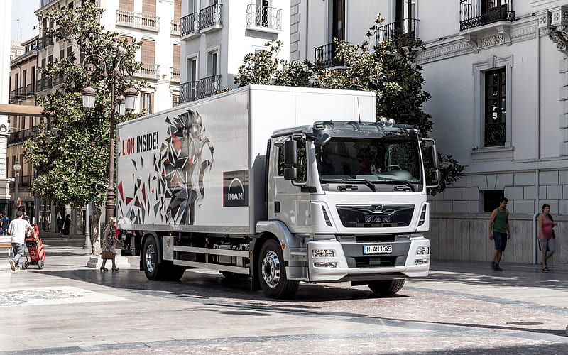 MAN TGM 2018 truck, MAN TG-serie, cargo transport, trucks, MAN, HD wallpaper
