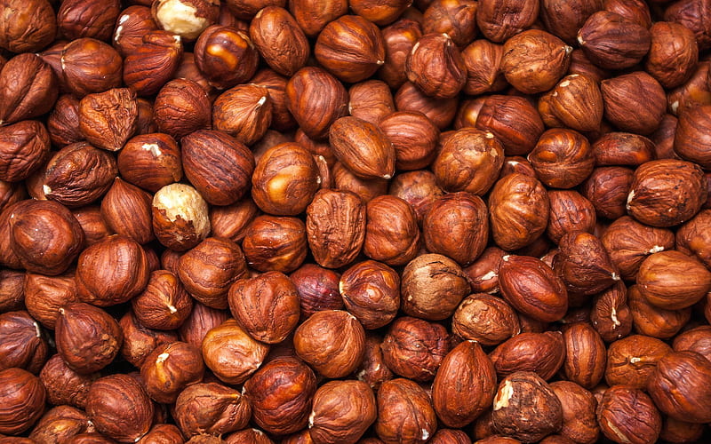 hazelnuts texture, background with hazelnuts, brown nuts, nuts texture, HD wallpaper