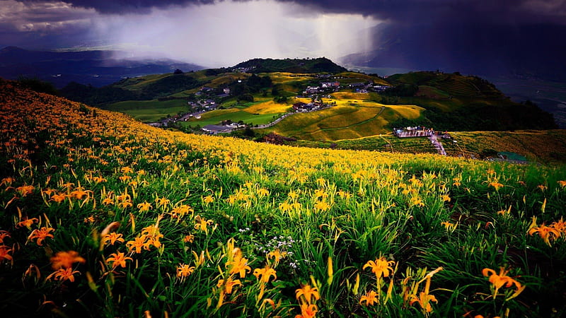 flowers in the meadow after a storm, hills, flowers, village, clouds, storm, meadow, HD wallpaper