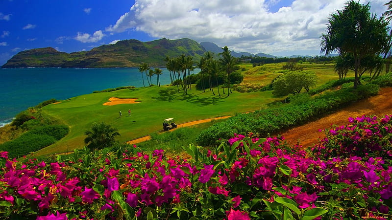 Beautiful Golf Course, grass, bonito, beach, green, golf course, purple, mountains, golfers, flowers, HD wallpaper
