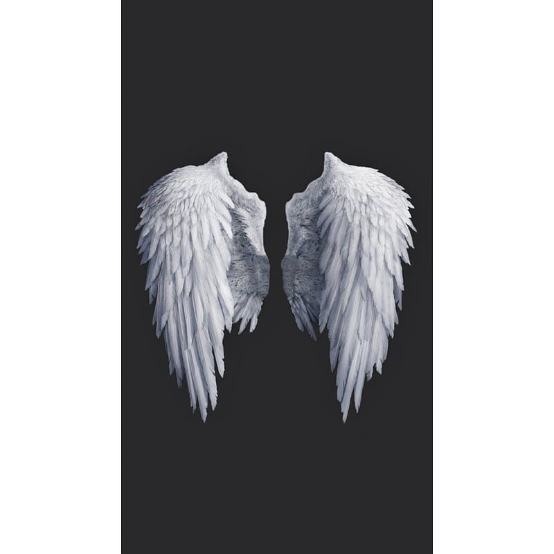 Alas de angel, blancas, Fondo de pantalla de teléfono HD | Peakpx