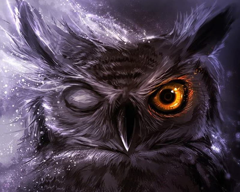 OWL, fiery, dark, winking, eyes, night, HD wallpaper