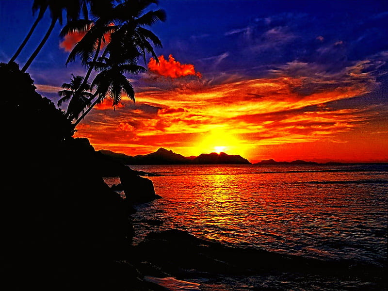 Seychelles sunset, pretty, shore, sun, palm, sunset, clouds, beach, sundown, nice, sunrise, tropics, reflection, lovely, seychelles, ocean, sky, sunburst, water, rays, palm tree, colorful, dazzling, shine, bonito, sea, sand, light, amazing, exotic, glowing, colors, summer, island, nature, tropical, HD wallpaper