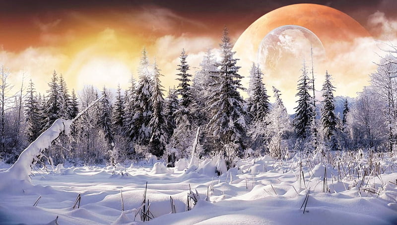 Sunset Winter, planet, snow, trees, top, winter, HD wallpaper