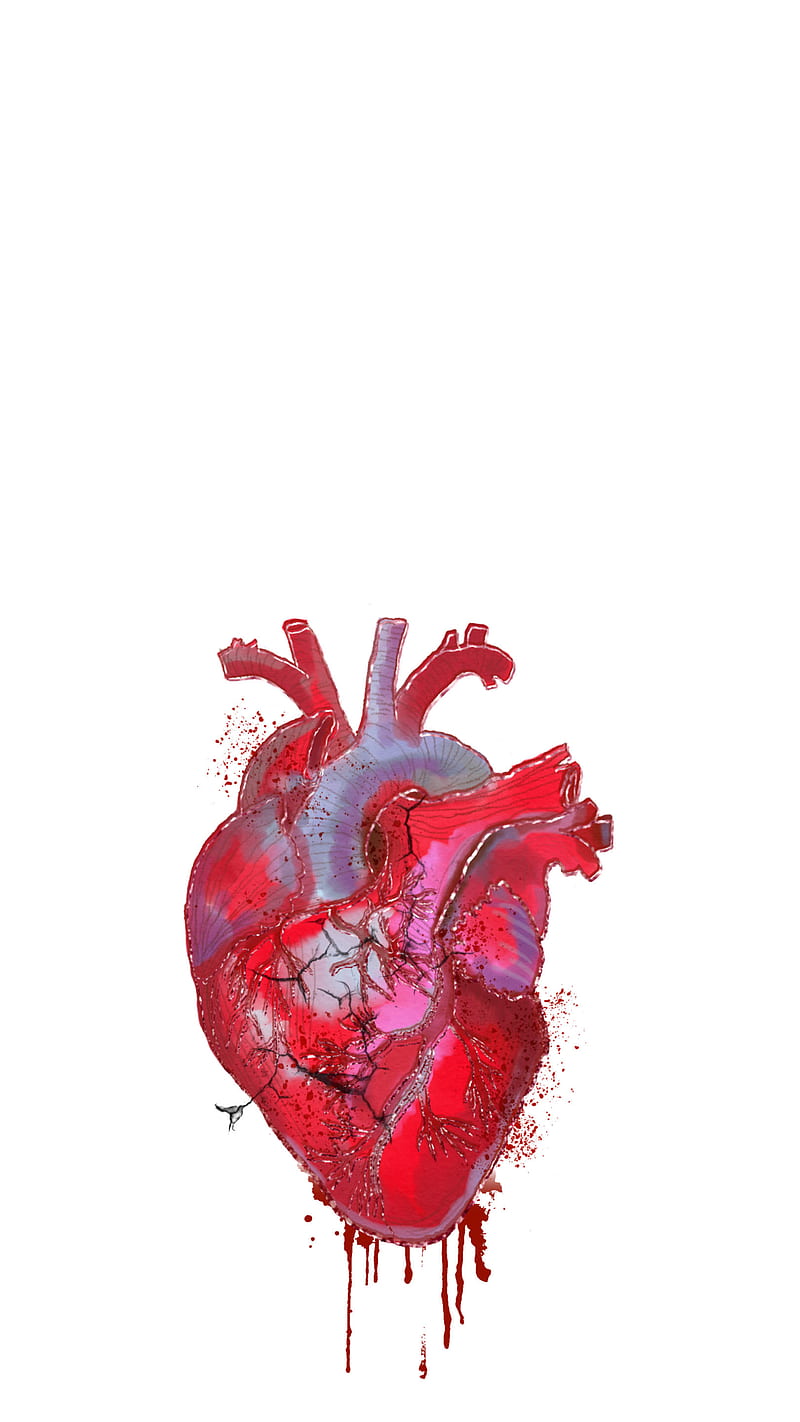 Drawing Heart, art, blood, darwing, desenho, iphone, medical, realheart,  samsung, HD phone wallpaper | Peakpx